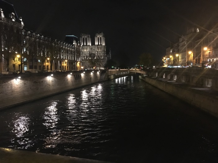 Notre Dame next to the Seine 